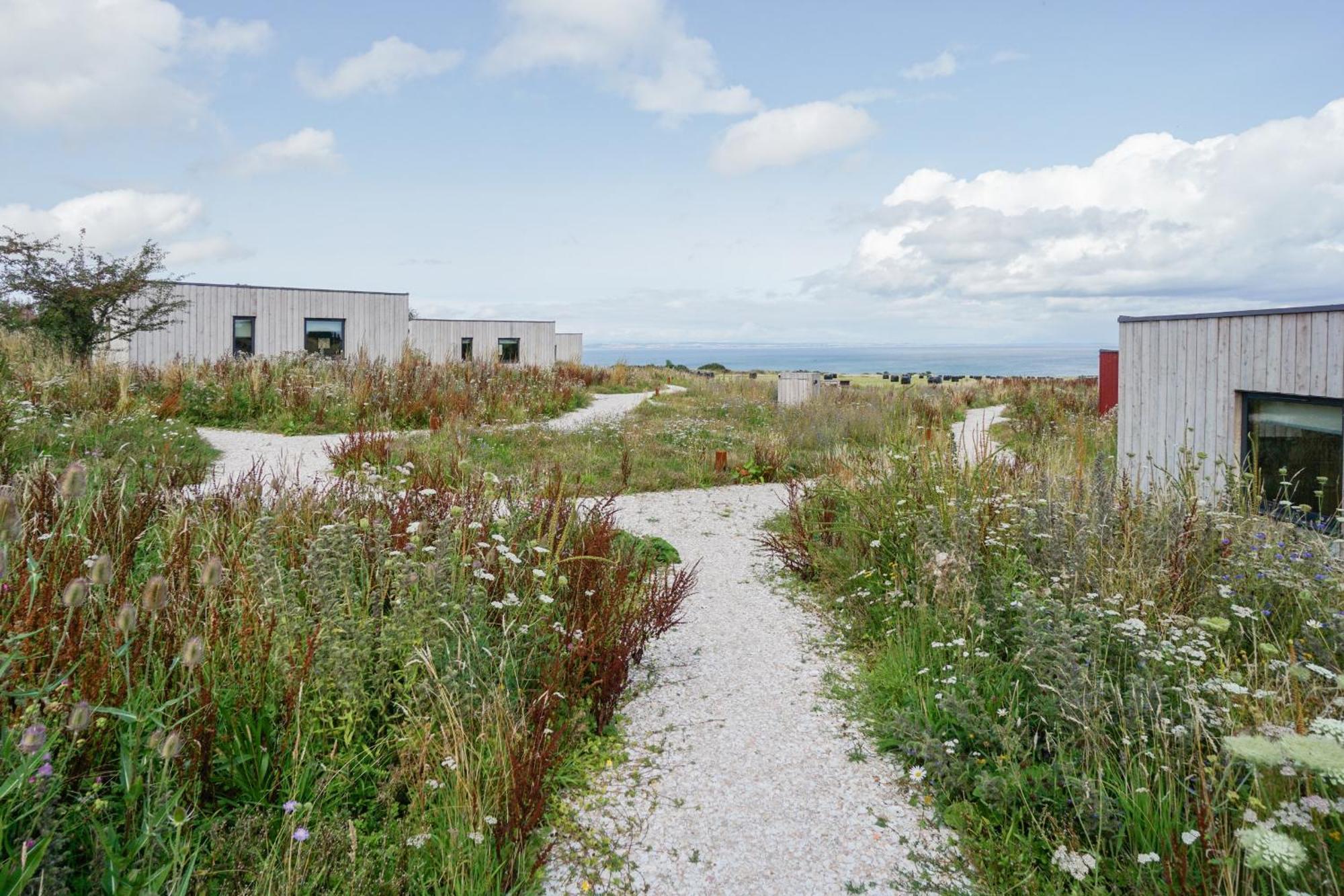 Rustic Cabins, Sea Views From Rewilded Farm With Highland Cows St Andrews Exterior foto